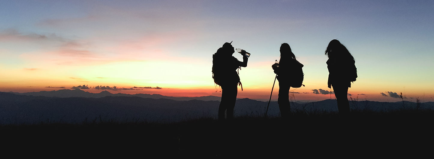 Inspiration and knowledge transfer for seasonality and products